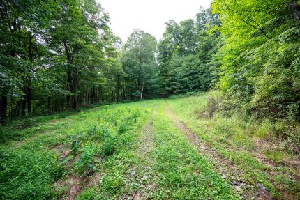 Recreational Property for sale in Preston County, West Virginia