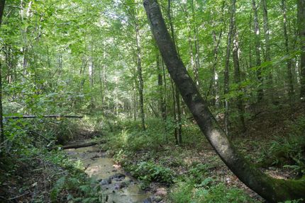 Residential Property for sale in Lee County, Virginia