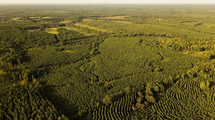 Recreational Property for sale in Neshoba County, Mississippi