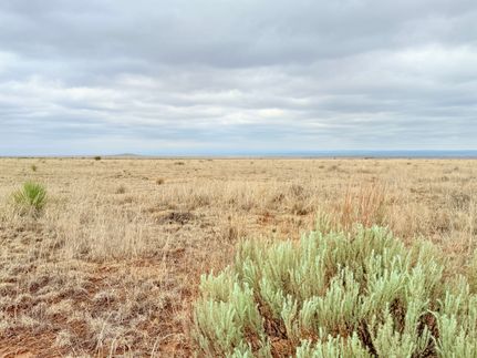Ranch Property for sale in Torrance County, New Mexico