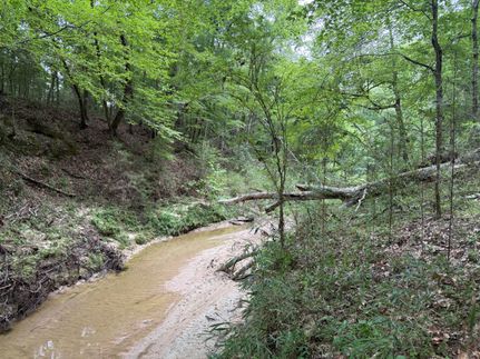 Farm Property for sale in Tyler County, Texas