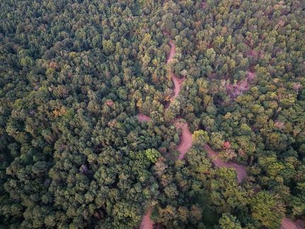Farm Property for sale in Jefferson County, Mississippi