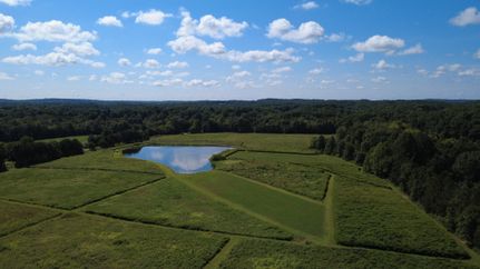 Ranch Property for sale in Pope County, Illinois