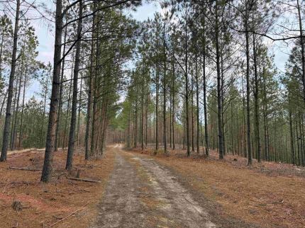 Recreational Property for sale in Richmond County, Virginia