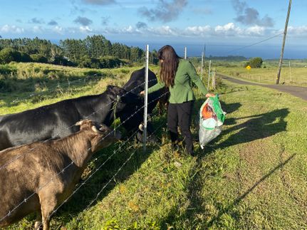 Recreational Property for sale in Hawaii County, Hawaii