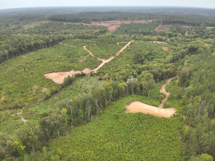 Ranch Property for sale in Choctaw County, Alabama