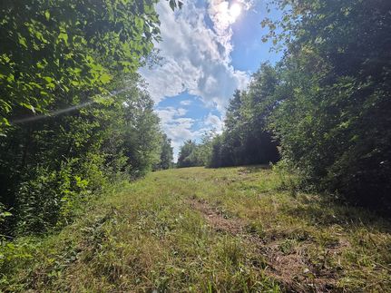 Farm Property for sale in Tioga County, New York