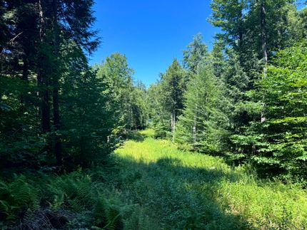 Farm Property for sale in Oneida County, New York