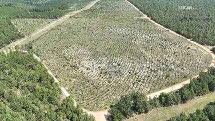 Ranch Property for sale in Jefferson County, Georgia