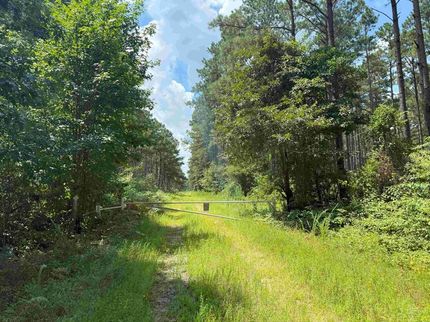 Farm Property for sale in Suffolk City County, Virginia