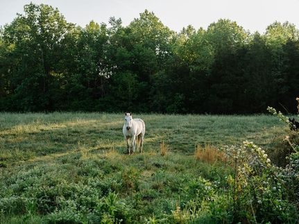 Farm Property for sale in Maury County, Tennessee