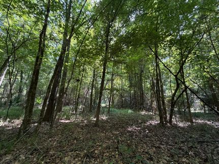 Farm Property for sale in Holmes County, Mississippi