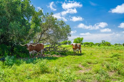 Farm Property for sale in Colorado County, Texas