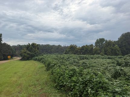 Residential Property for sale in Holmes County, Mississippi