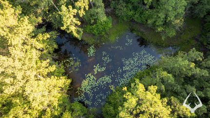 Ranch Property for sale in Newton County, Texas