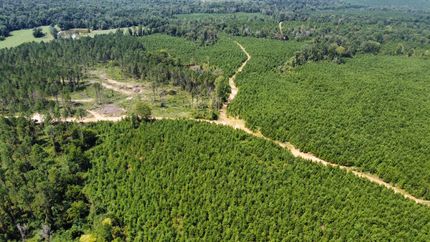 Farm Property for sale in Simpson County, Mississippi