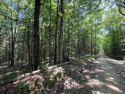 Recreational Property for sale in Tioga County, New York