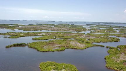 Ranch Property for sale in Citrus County, Florida