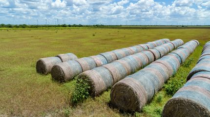 Ranch Property for sale in San Patricio County, Texas