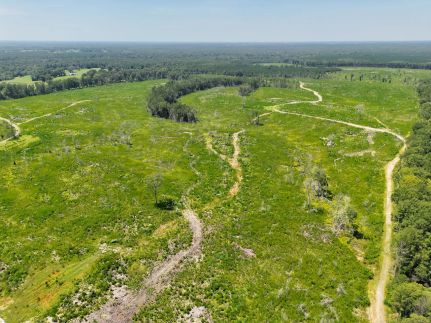 Ranch Property for sale in Macon County, Alabama