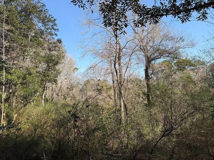 Ranch Property for sale in Baldwin County, Alabama