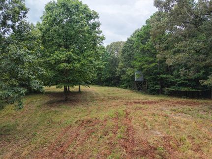 Recreational Property for sale in Polk County, Arkansas