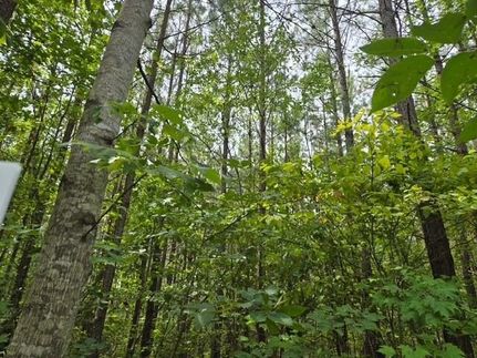 Farm Property for sale in Buckingham County, Virginia
