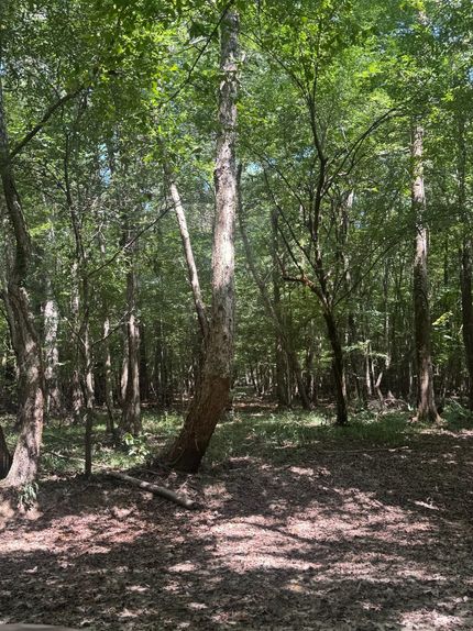 Farm Property for sale in Crenshaw County, Alabama