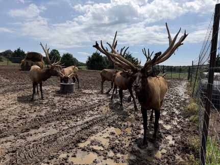 Farm Property for sale in Custer County, Nebraska