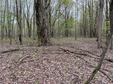 Farm Property for sale in Ashtabula County, Ohio