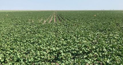 Farm Property for sale in Seward County, Kansas