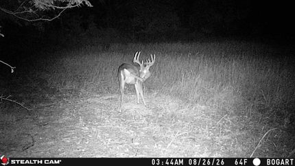 Farm Property for sale in Ross County, Ohio
