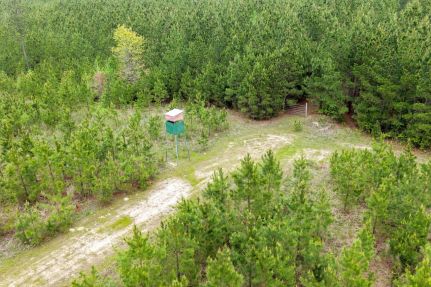 Farm Property for sale in Grant County, Arkansas