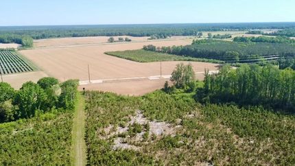 Farm Property for sale in Hertford County, North Carolina