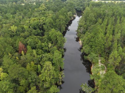 Timberland Property for sale in Ware County, Georgia
