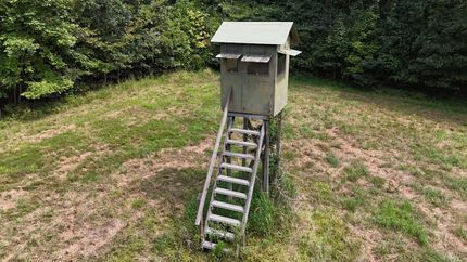 Farm Property for sale in Lyon County, Kentucky