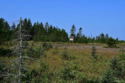 Undeveloped Land for sale in Delta County, Michigan