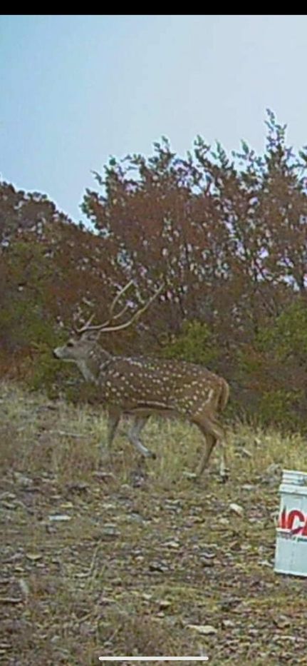 Farm Property for sale in Edwards County, Texas