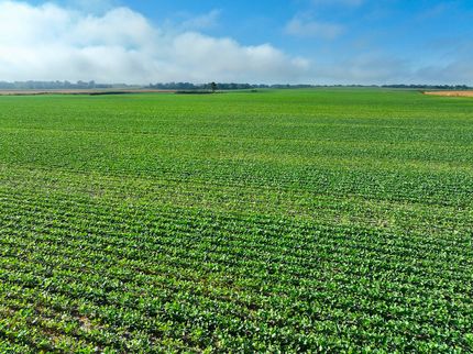 Farm Property for sale in Dade County, Missouri