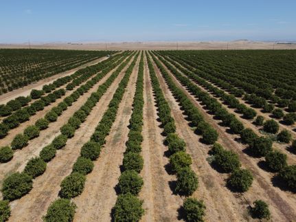 Recreational Property for sale in Madera County, California