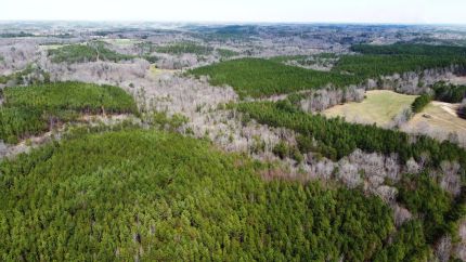 Farm Property for sale in Winston County, Alabama