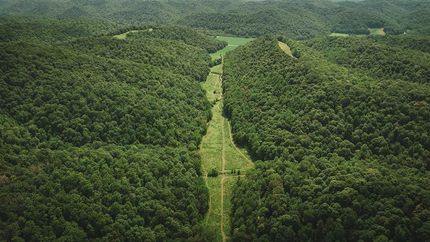 Farm Property for sale in Lewis County, Kentucky
