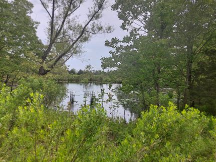 Ranch Property for sale in Red River County, Texas