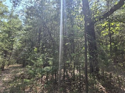 Timberland Property for sale in Appomattox County, Virginia