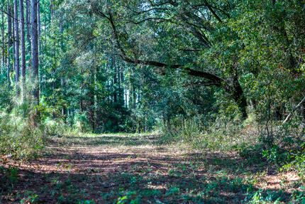 Recreational Property for sale in Early County, Georgia