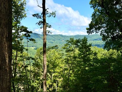 Timberland Property for sale in Clay County, North Carolina