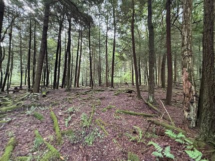 Recreational Property for sale in Jefferson County, Pennsylvania