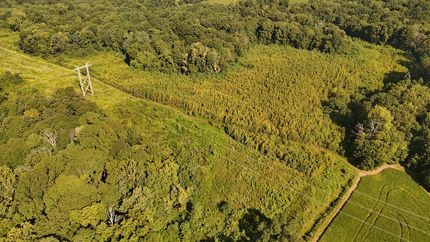 Ranch Property for sale in Pike County, Indiana