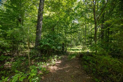 Ranch Property for sale in Pittsylvania County, Virginia