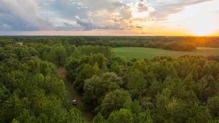 Farm Property for sale in Wilcox County, Georgia